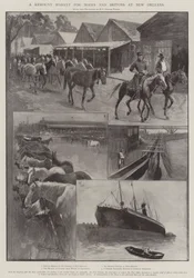 A Remount Market for Boers and Britons at New Orleans